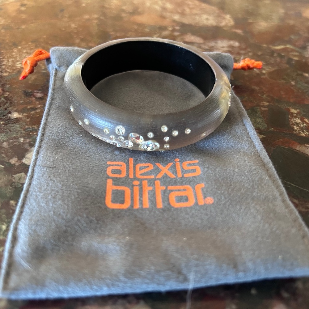 Alexis Bittar lucite